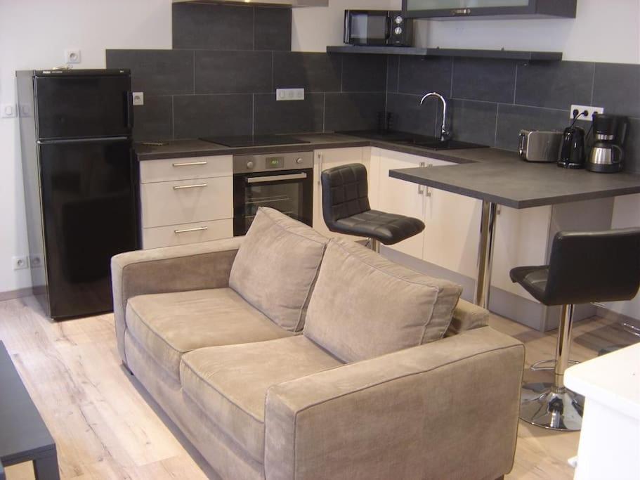 Appartement Touristique, Proche De La Cathedrale Albi Kültér fotó